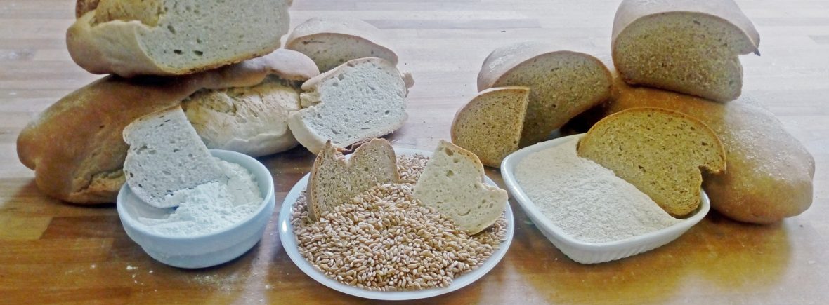Pane bio a lievito madre